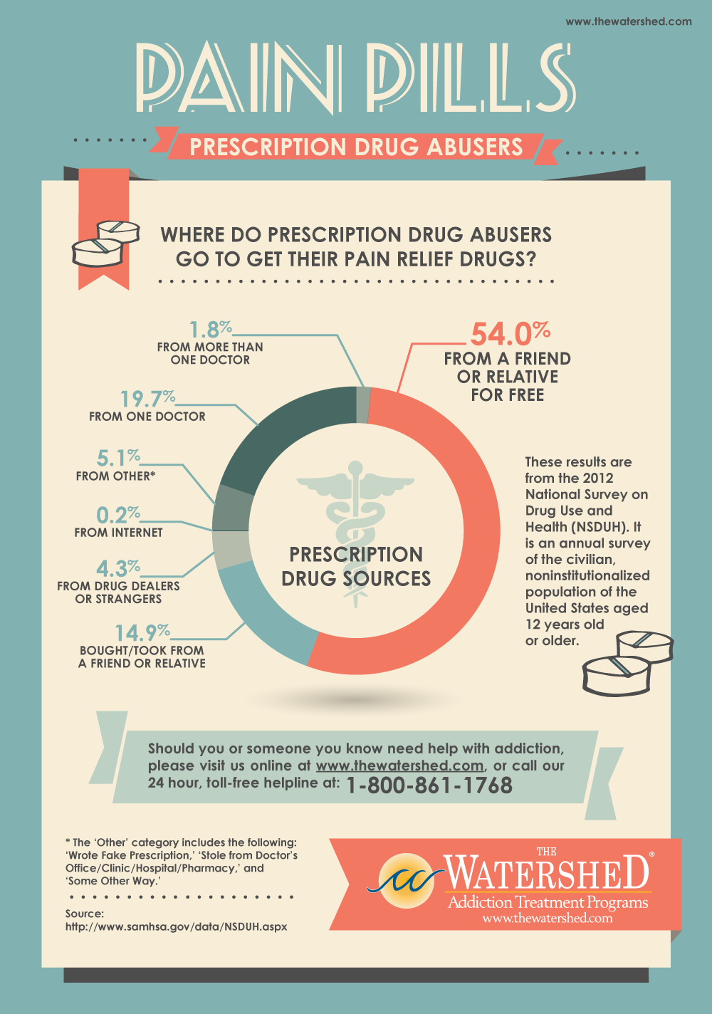 Pain-Pills-Prescription-Drug-Abusers infographic