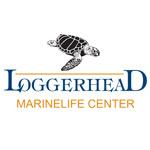 Loggerhead-Marinelife-Center