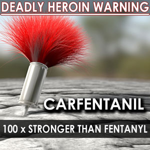heroin-carfentanil